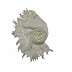 Georgette stole with feathers attached to it Georgette stole with feathers attached to it